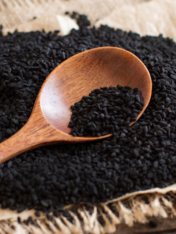 Herbal Pharm: Premium Black Seed (Nigella Sativa) 60 Softgels for Immune & Wellness
