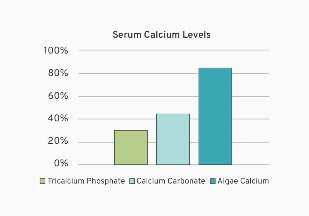Avance Cal/Mag Plus: Enhance Bone Health & Muscle Function