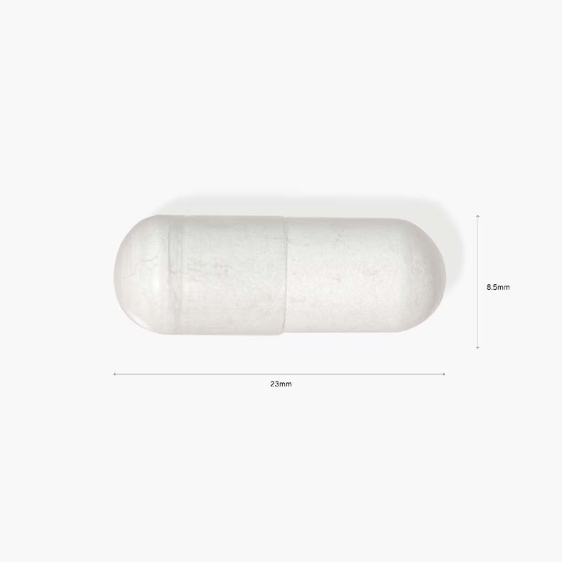 Avance Cal/Mag Plus: Enhance Bone Health & Muscle Function