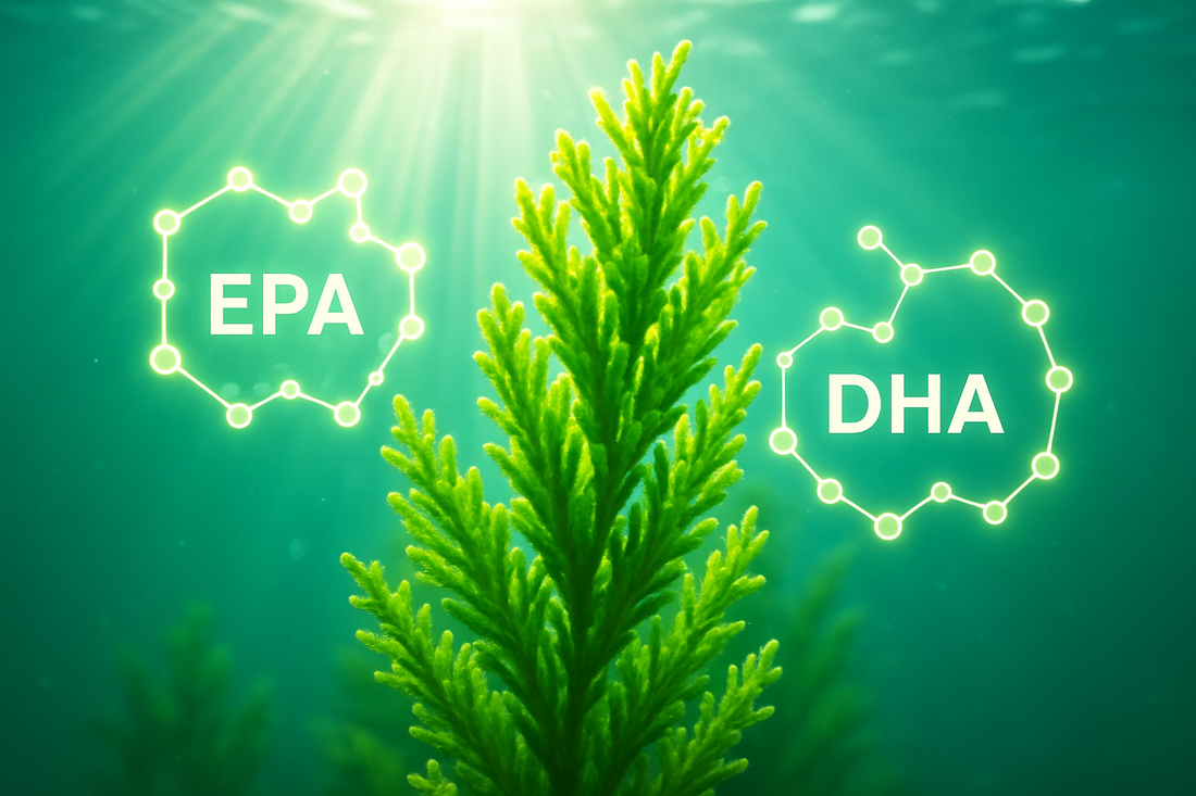 Navigating the Plant-Based Path: Why Vegan Omega-3 is Essential for Optimal Health