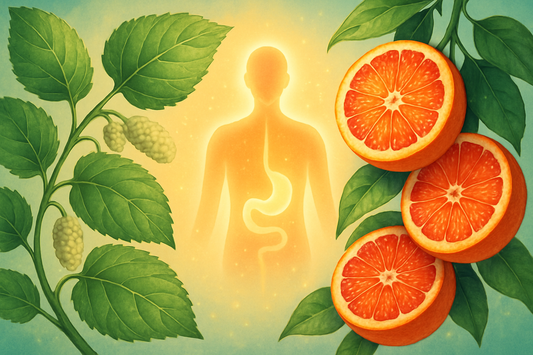 The Hidden Heroes: How Reducose & Morosil Optimize Your Natural GLP-1 for Metabolic Health