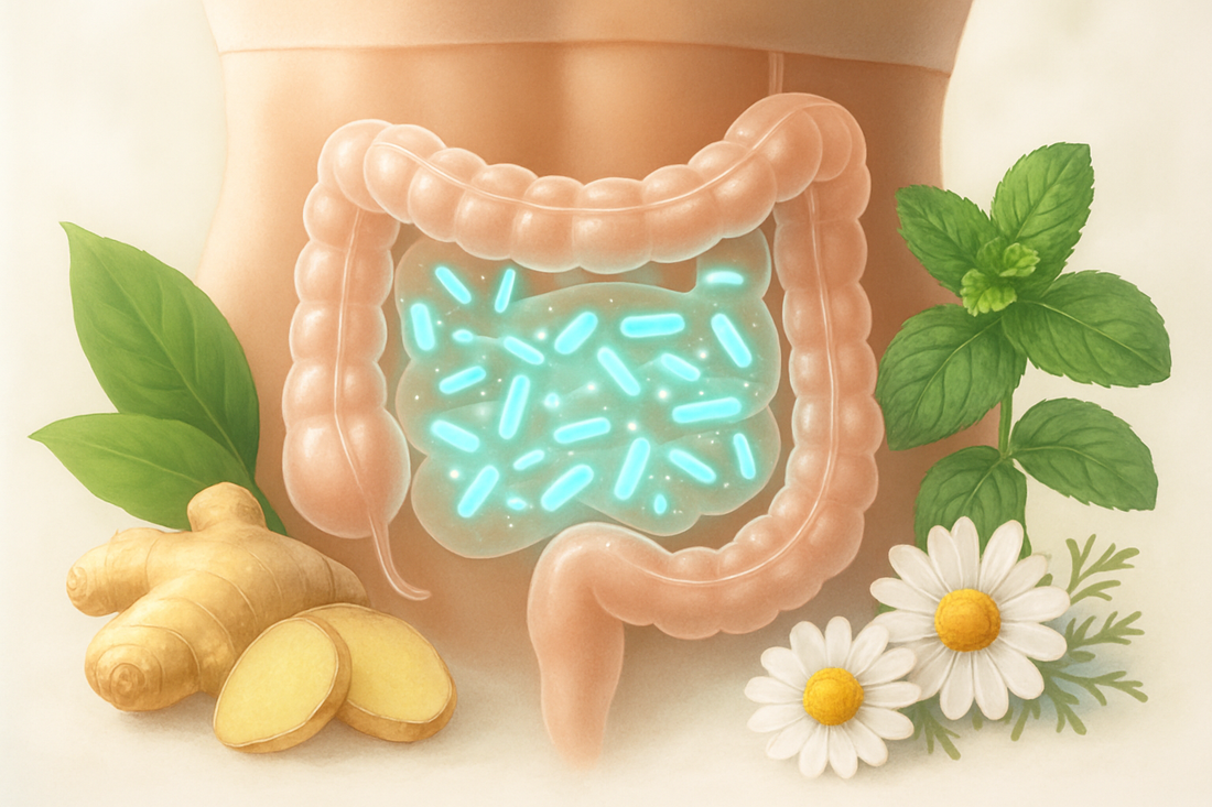 Beyond Bloating: A Natural Path to a Happy Gut and Flat Tummy