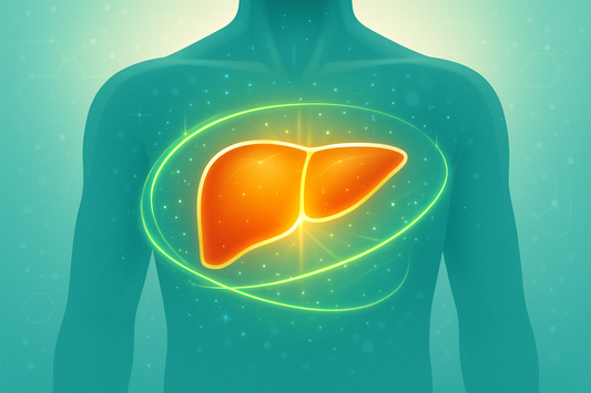 Decoding Liver Health: The Essential Role of Daily Liver Care and Advanced Support