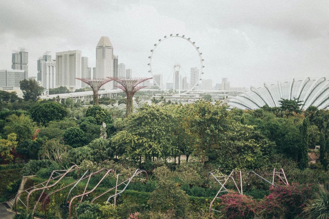 Singapore Humid Weather