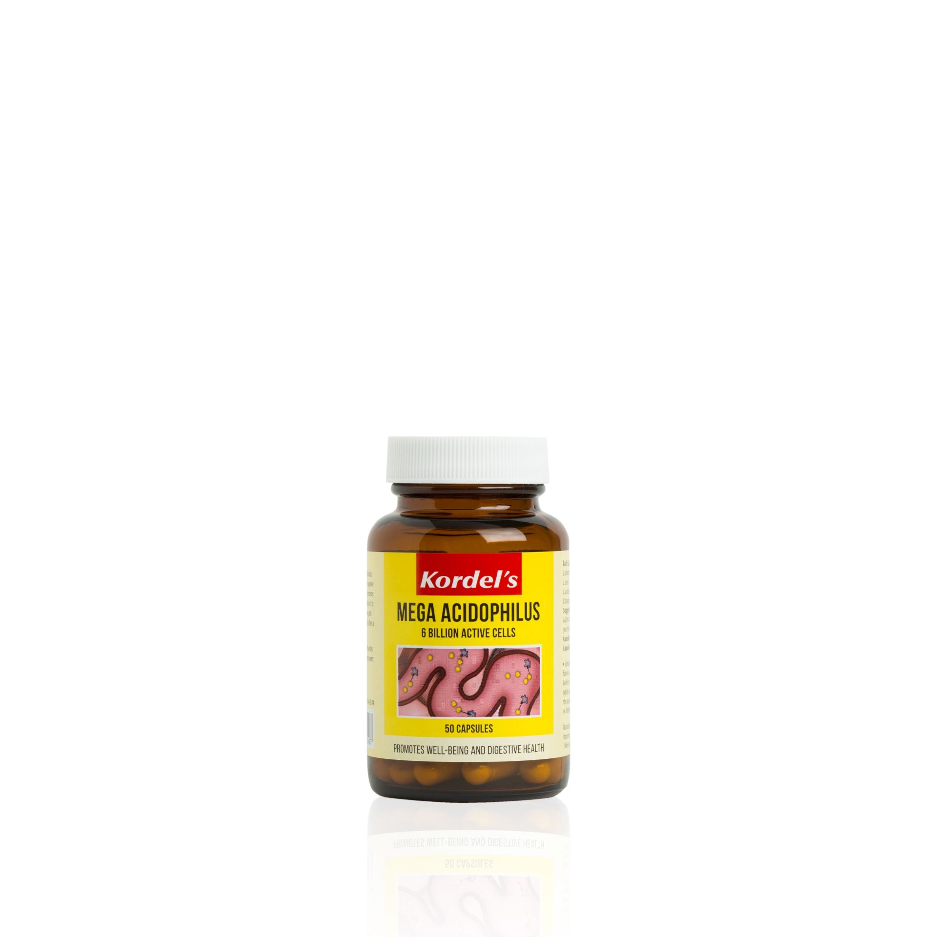 KORDEL’S MEGA ACIDOPHILUS 6 BILLION