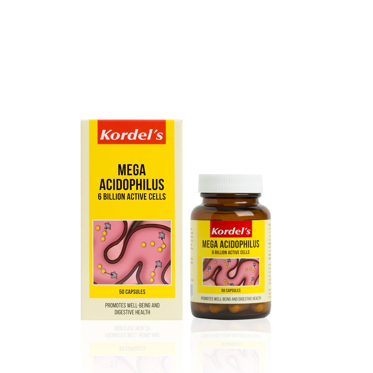 KORDEL’S MEGA ACIDOPHILUS 6 BILLION