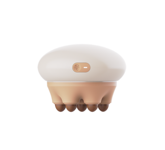 Stone Needle Meridians Brush