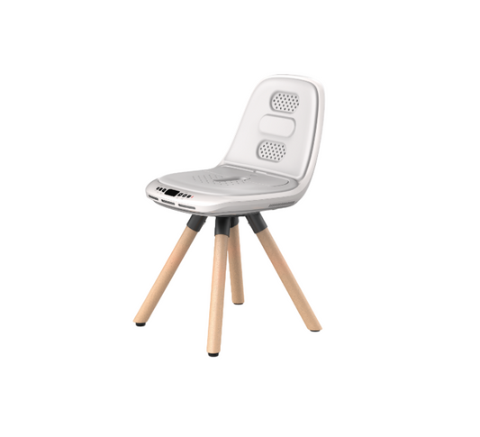 Multifunctional Warm Buttocks Appliance