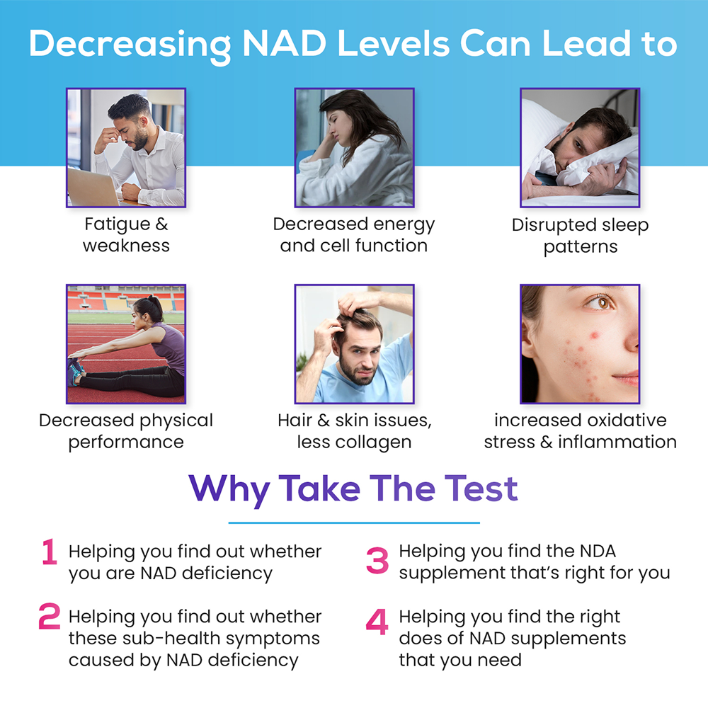 Jinfiniti Intracellular NAD+ Test - CLIA-Certified NAD Level Analysis Kit