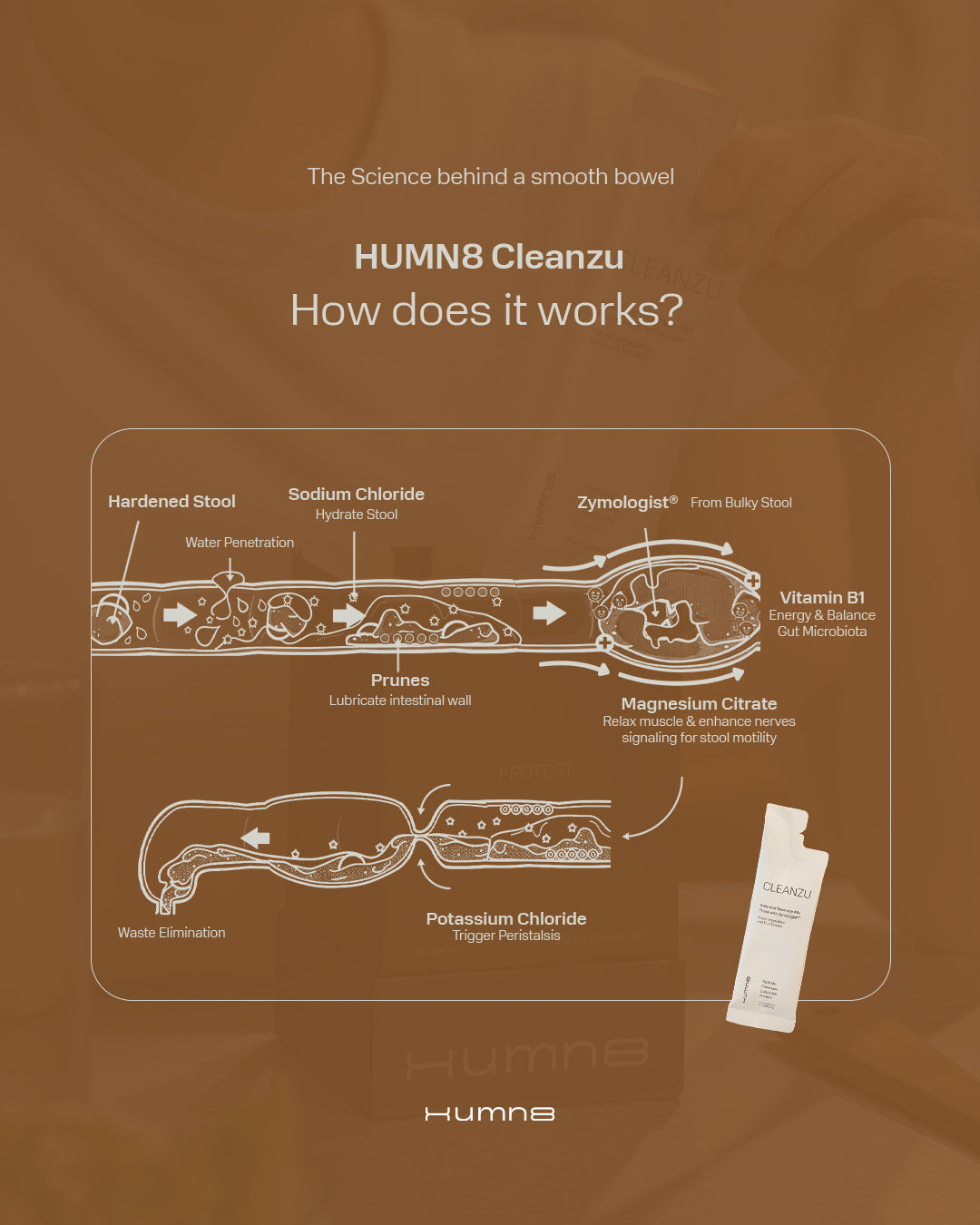 HUMN8 Cleanzu Gut Health Supplement Natural Detox