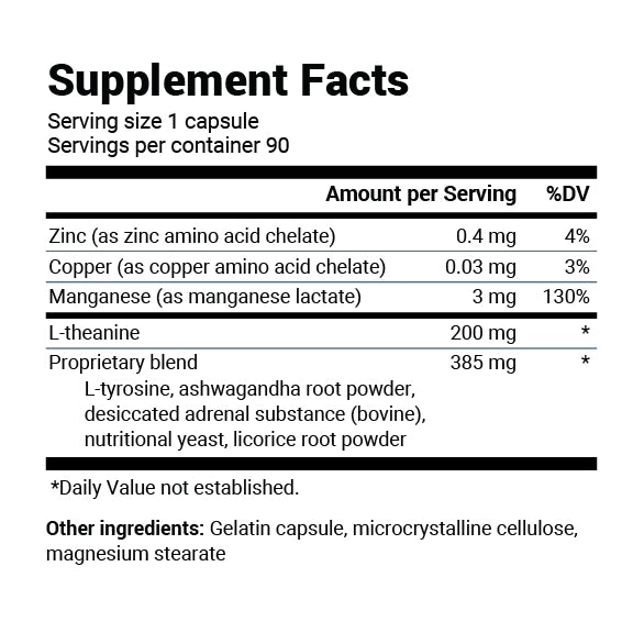 Dr. Berg L-Theanine Adrenal Support - Stress & Energy Formula (90 Capsules)