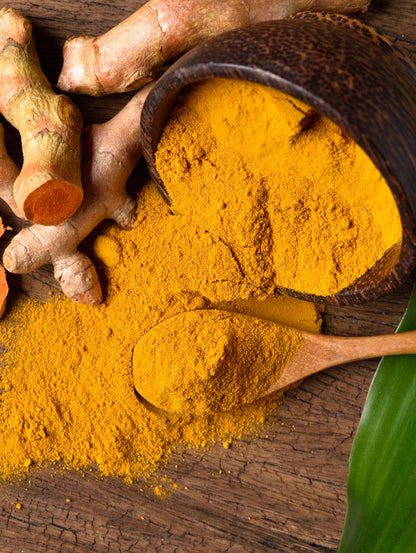 Herbal Pharm BCM-95® Turmeric Root Extract - 90 V-Capsules for Joint & Immune Support