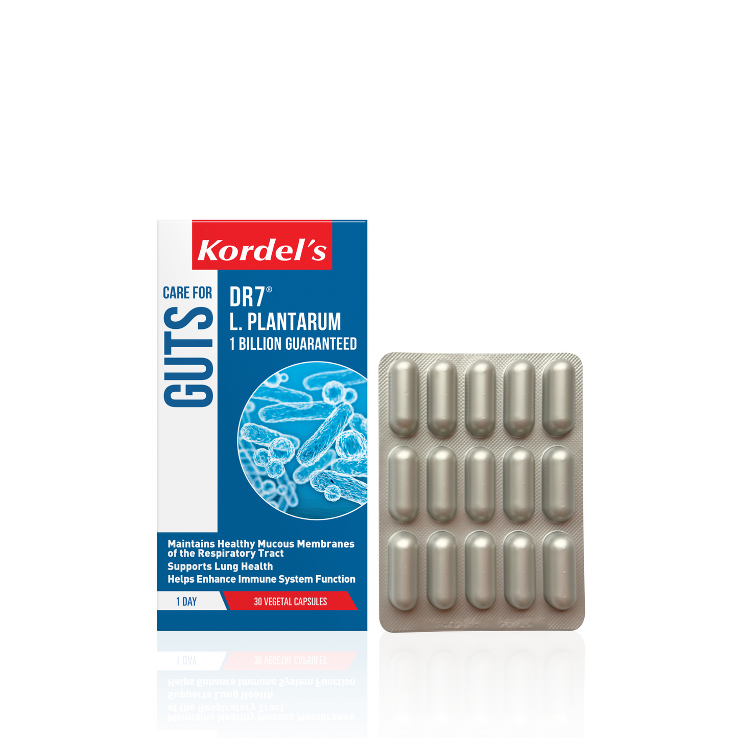 KORDEL’S DR7® L. PLANTARUM 1 BILLION GUARANTEED