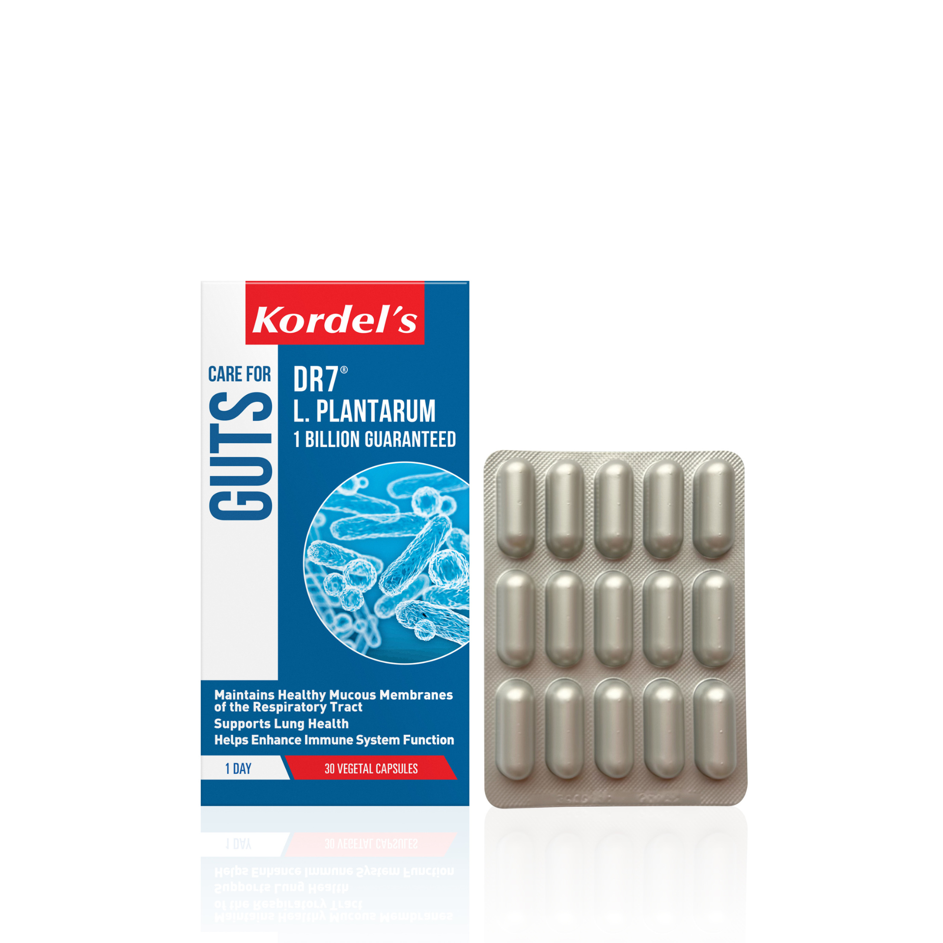 KORDEL’S DR7® L. PLANTARUM 1 BILLION GUARANTEED