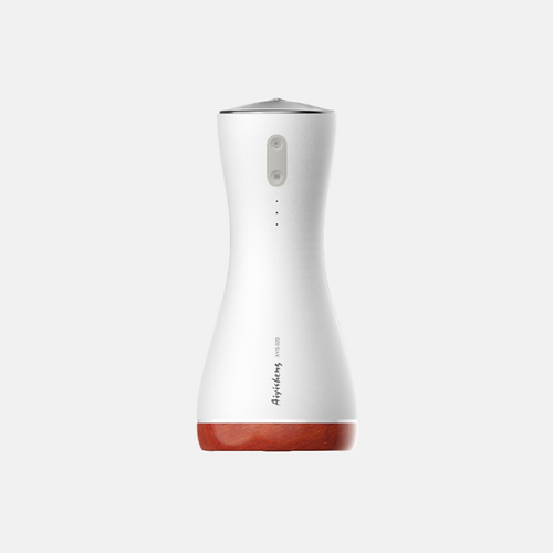 Stone Needle Massage Appliance - Cordless