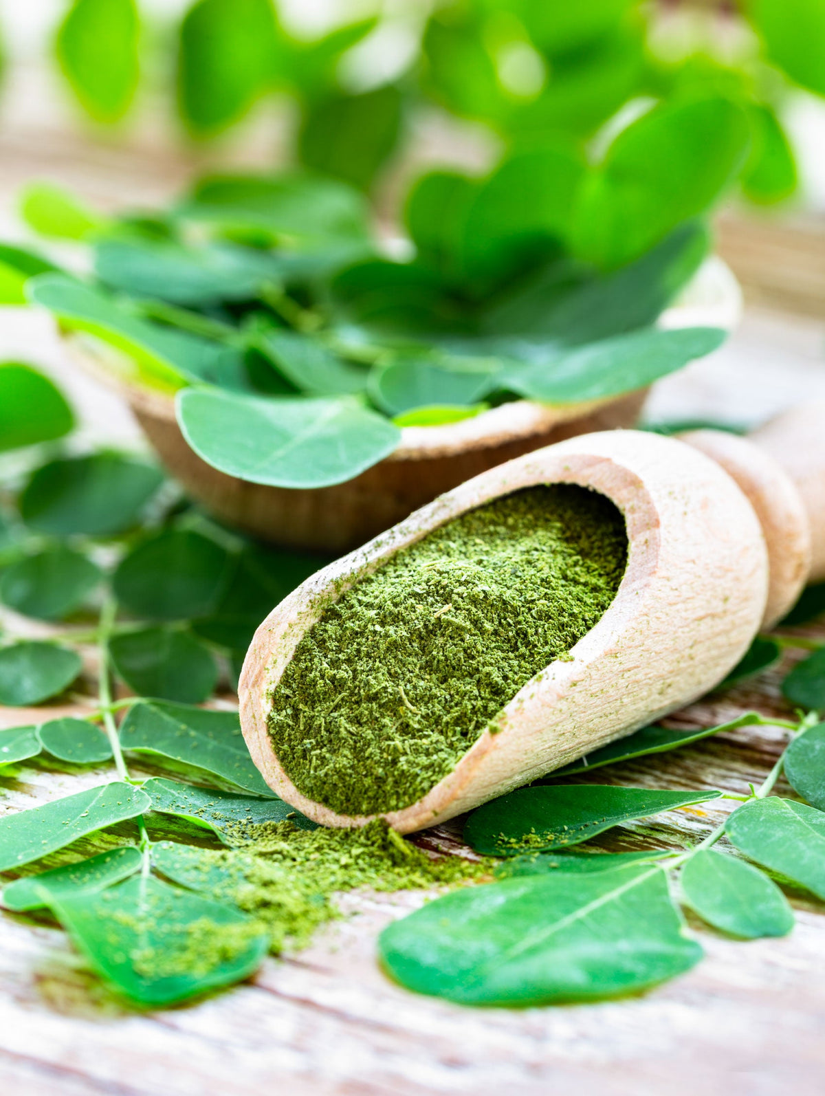 Herbal Pharm Moringa Oleifera 60 V-Capsules - Herbal Pharm Singapore
