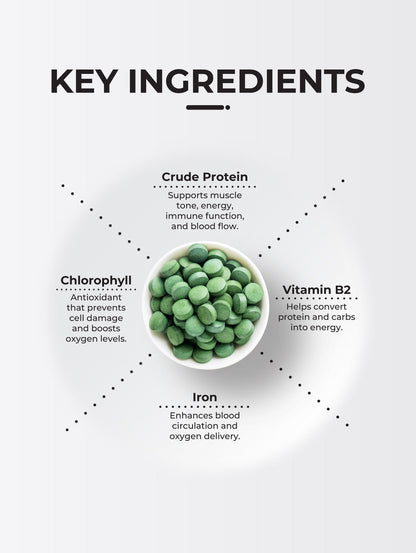 Herbal Pharm: N2 Chlorella - Natural Detox & Nutrient Boost (450 Tablets)