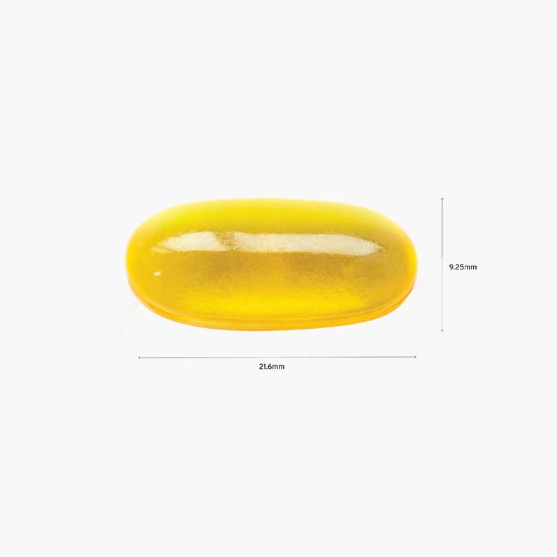 Avance PhosChol 565: Enhance Liver, Brain Function & Energy Levels