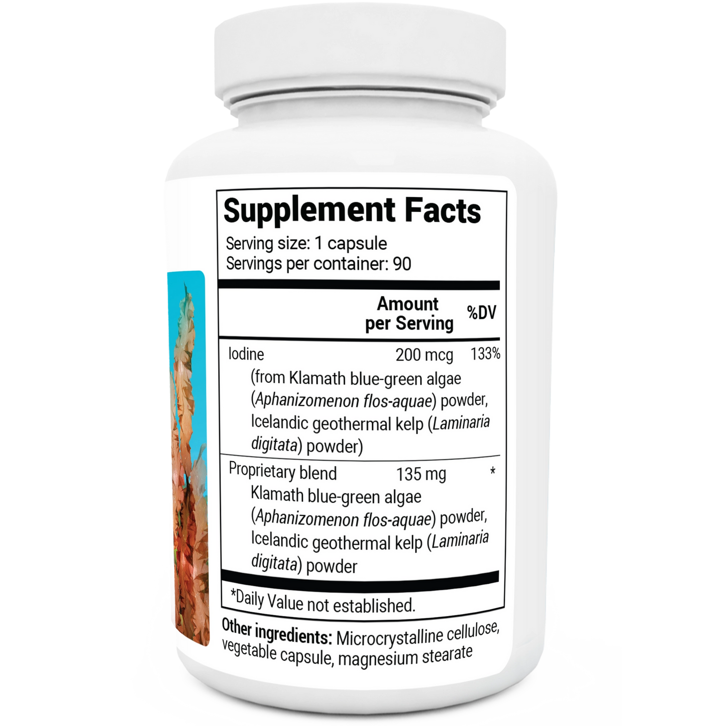 Dr. Berg Sea Kelp Enhanced Iodine - Premium Support - 90 Capsules