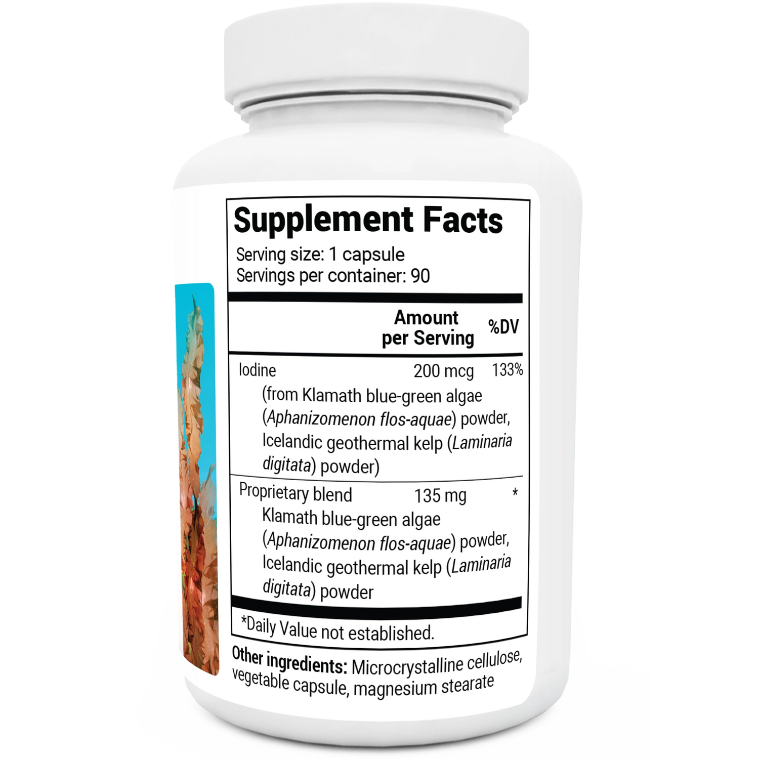 Dr. Berg Sea Kelp Enhanced Iodine - Premium Support - 90 Capsules