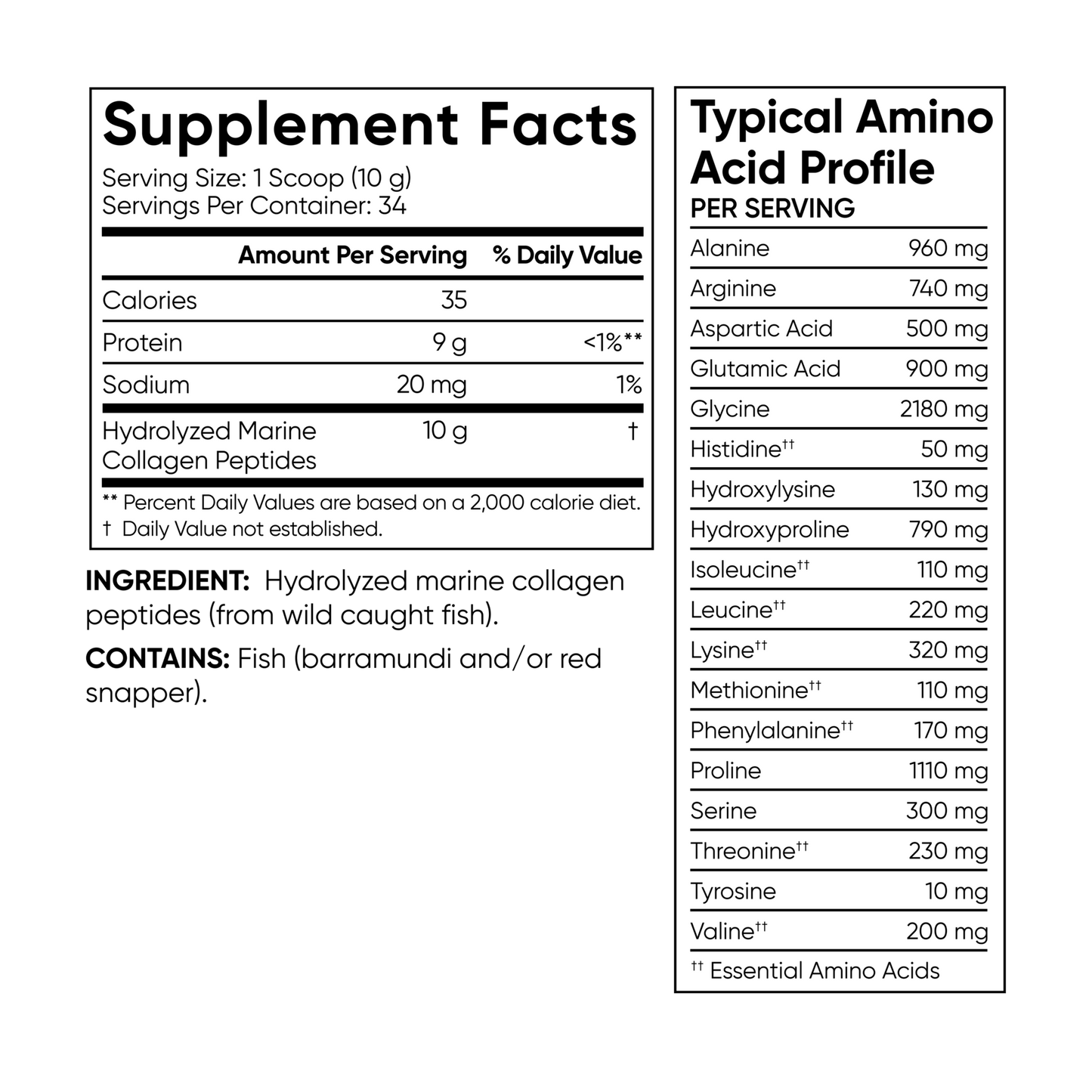 Marine Collagen Peptides (34 Servings) - 12oz by Sports Research