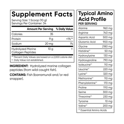 Marine Collagen Peptides (34 Servings) - 12oz by Sports Research