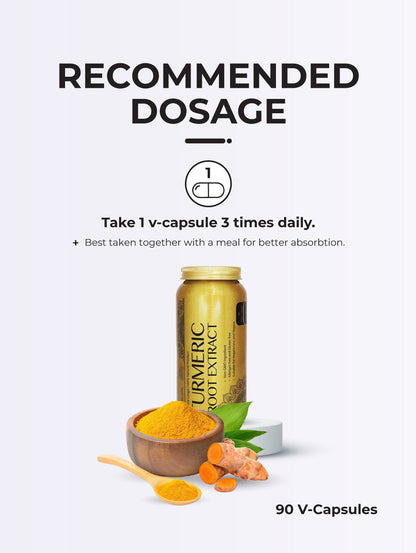 Herbal Pharm BCM-95® Turmeric Root Extract - 90 V-Capsules for Joint & Immune Support