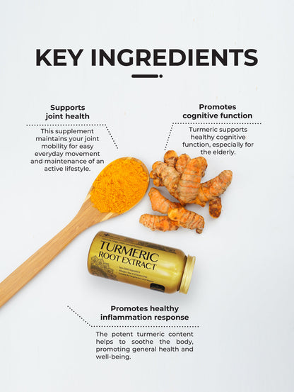 Herbal Pharm BCM-95® Turmeric Root Extract - 90 V-Capsules for Joint & Immune Support